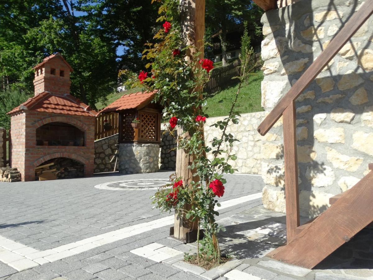 Vila Trnoruzica توهليج المظهر الخارجي الصورة